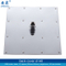 10 Inch High Pressure Overhead Shower Head