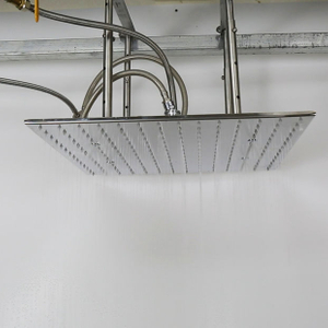 20 Inch Spray Shower Head