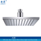 Detachable Brass 8 Inch LED Rain Shower