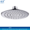 6 Inch Small, Polished Brass, Shower Head